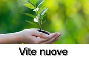 vite-nuove